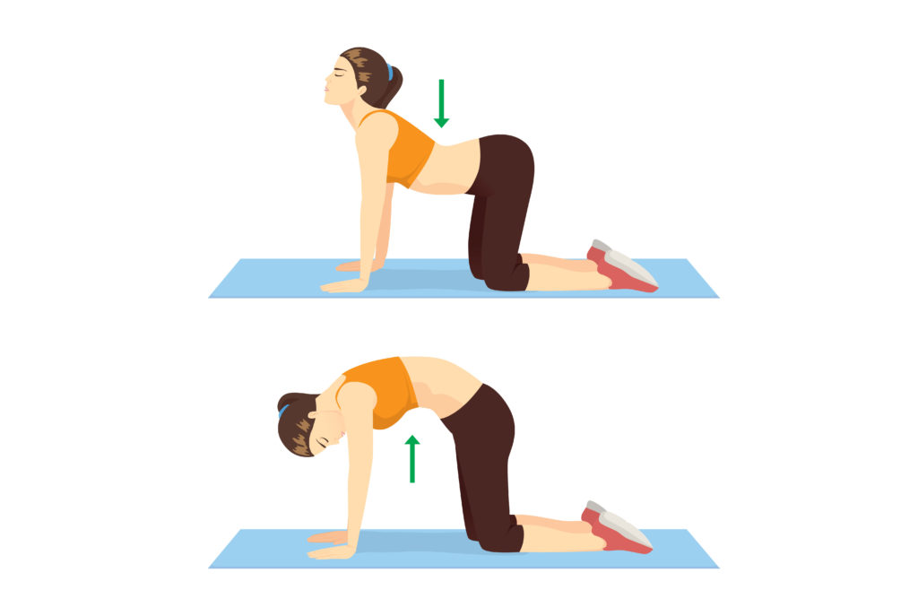 exercise cat-cow pose - WomenWorking