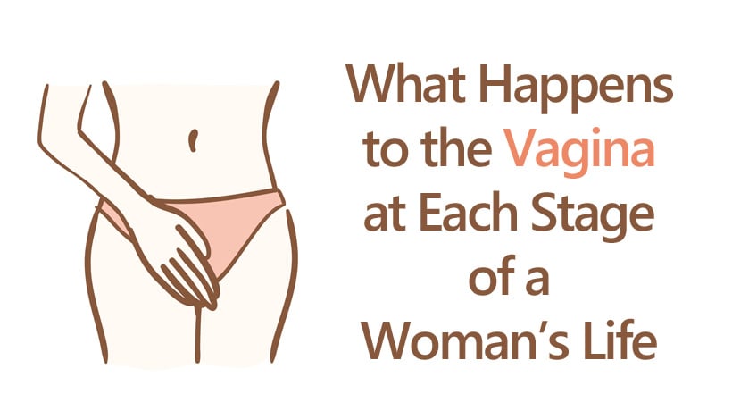 What Happens To The Vagina At Each Stage Of A Woman S Life Womenworking