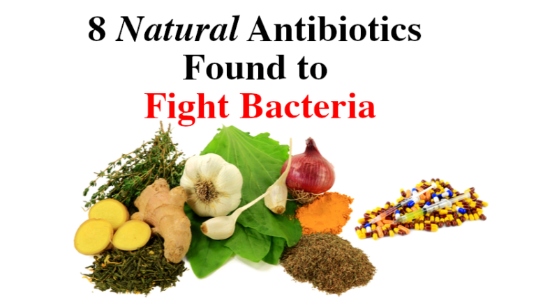 8 Natural Antibiotics Found To Fight Bacteria Womenworking