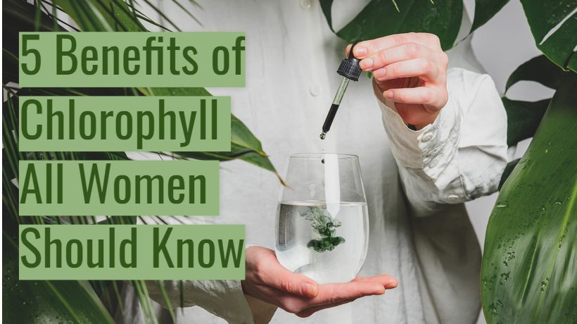 5 Benefits of Chlorophyll Women Should Know - WomenWorking