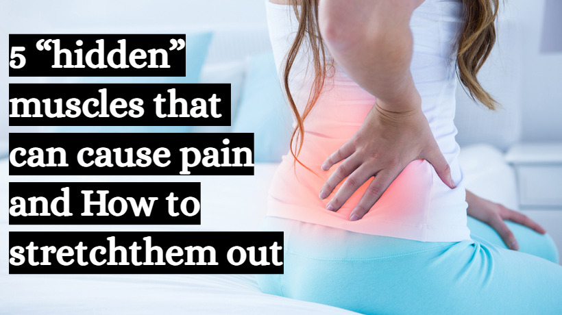 5 “hidden” muscles that can cause pain and How to stretch them out ...