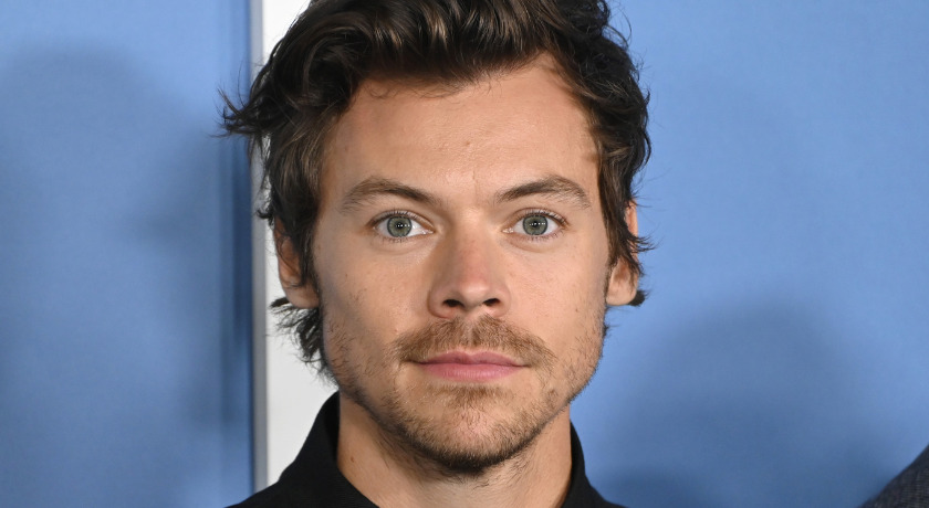 Harry Styles Talks Anxiety While in One Direction: 'I Was